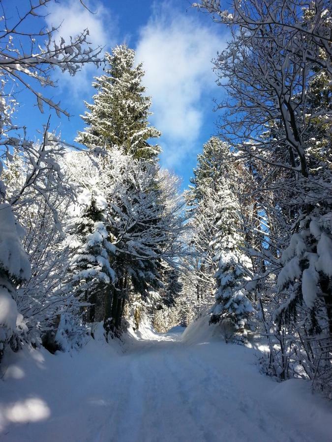 Apartma Lip Ratece Bagian luar foto